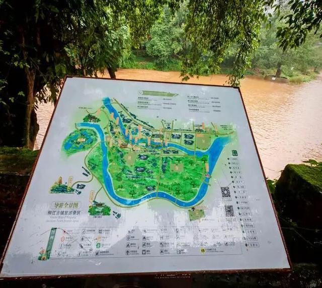 老兵军嫂游柳江：曾家园里看古树，烟雨河畔话当年