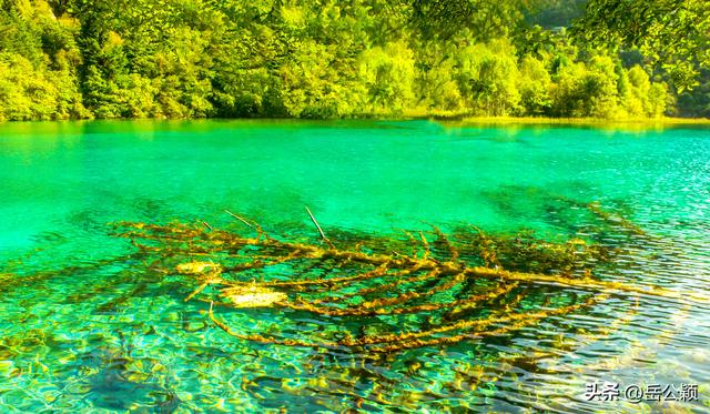 畅游中国｜九寨沟，难忘的那一汪汪水……