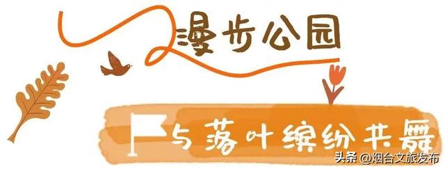 【乐游烟台】你好啊，烟台的秋天！