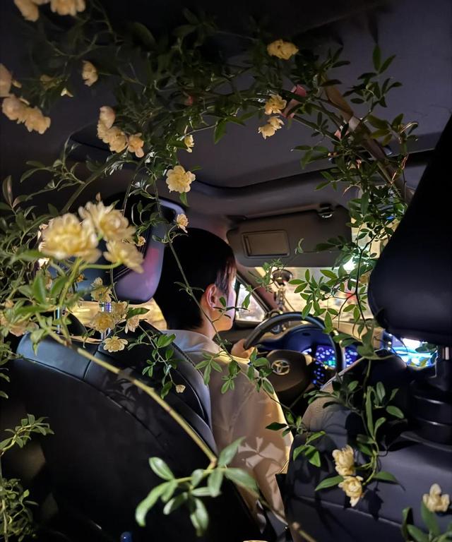 女子因“老公养花”愁坏了，好好的特斯拉，非养一盆花，太癫了~