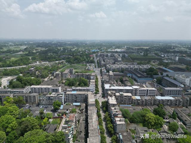 成都古镇（15）郫县唐昌古镇崇宁公园·大椿巷