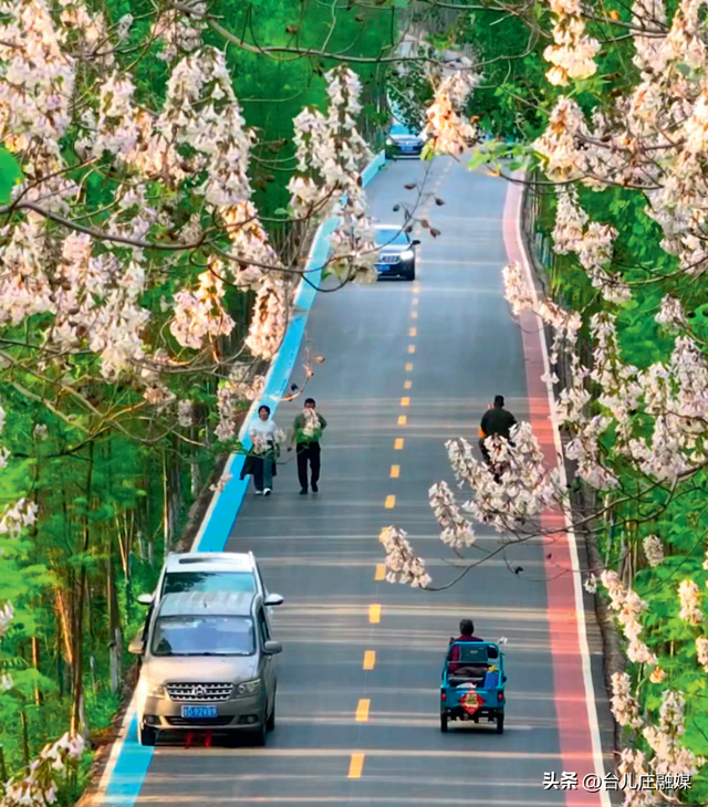 2024年“十大最美农村路”——山东省枣庄市台儿庄区“鲁风运河”古城文化廊道