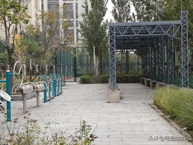 寻趣石家庄——光华路上的绿化带