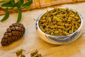 铁皮石斛十大品牌排行榜，最受欢迎的铁皮石斛，你知道几个？图片