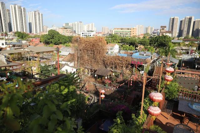 东莞有个宝藏地！下坝坊的24小时，从静谧古村到流光幻境