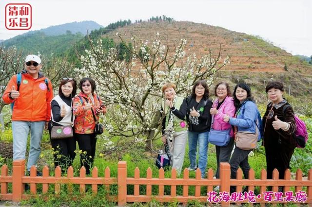 乐昌花海千人游！澳门游客：第一次来就惊艳到了