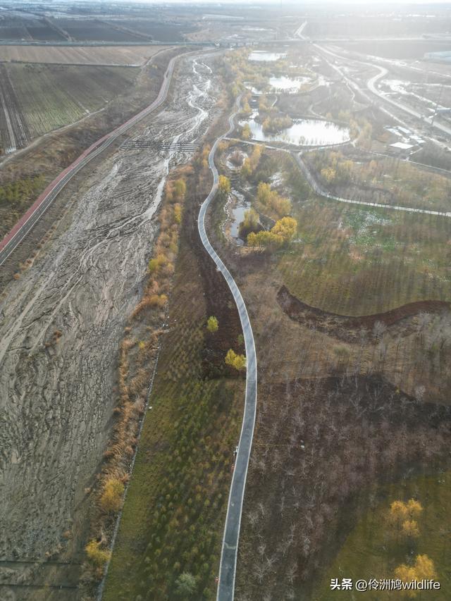 新疆昌吉头屯河公园