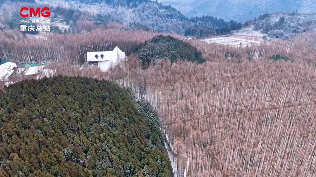 日照金山、水墨画卷、雪林撞色!重庆冬日雪景,每一帧都想保存