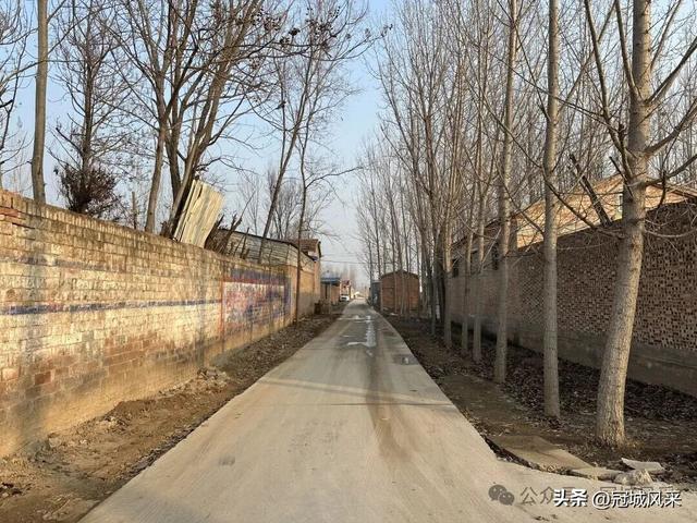 冠县乡韵·清水镇后井寨村