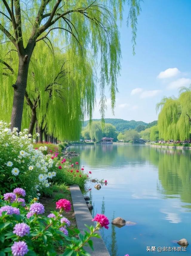 柳绿花红 风光无限