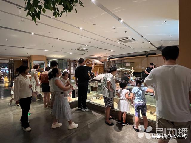 古韵映今风 “夜吴中”游出新风格