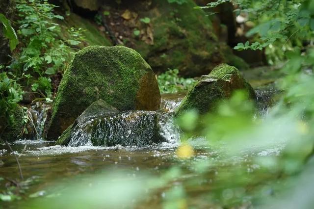 雨后泉水喷涌、飞瀑如练,淄博这些原生态山水秘境太美了!