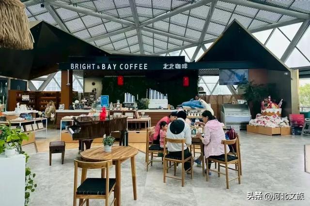 消费潜能激发：北戴河新区小众经济成增长引擎