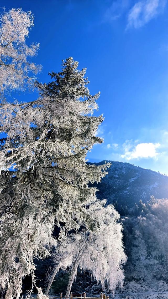 多重惊喜一键解锁：免门票·玩冰雪·泡温泉！松坪沟徒步还能领限定奖牌！