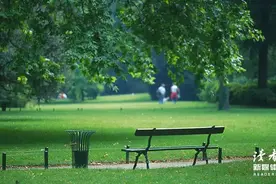 人生走到最后，最亲的不是子女和老伴，而是这一个人图片