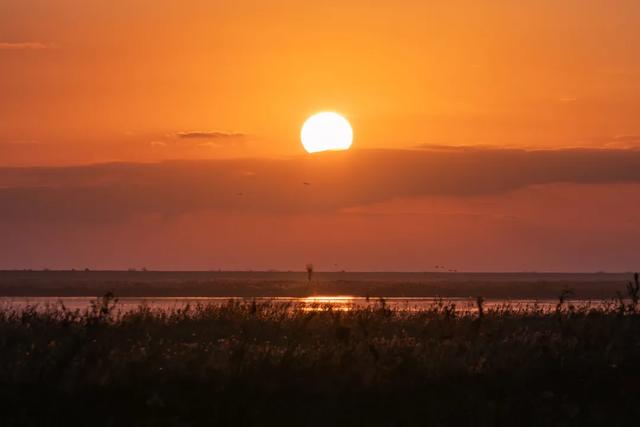 湿地、日出、星空、美食……来自这里的邀请函是否让你心动？