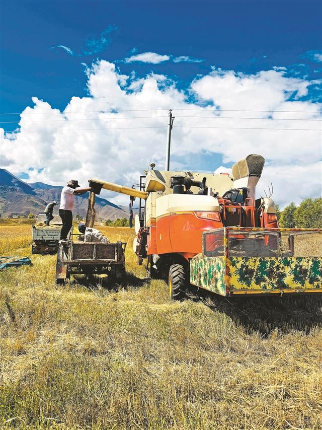 「辉煌60年·新时代西藏答卷」秋染林周好风光