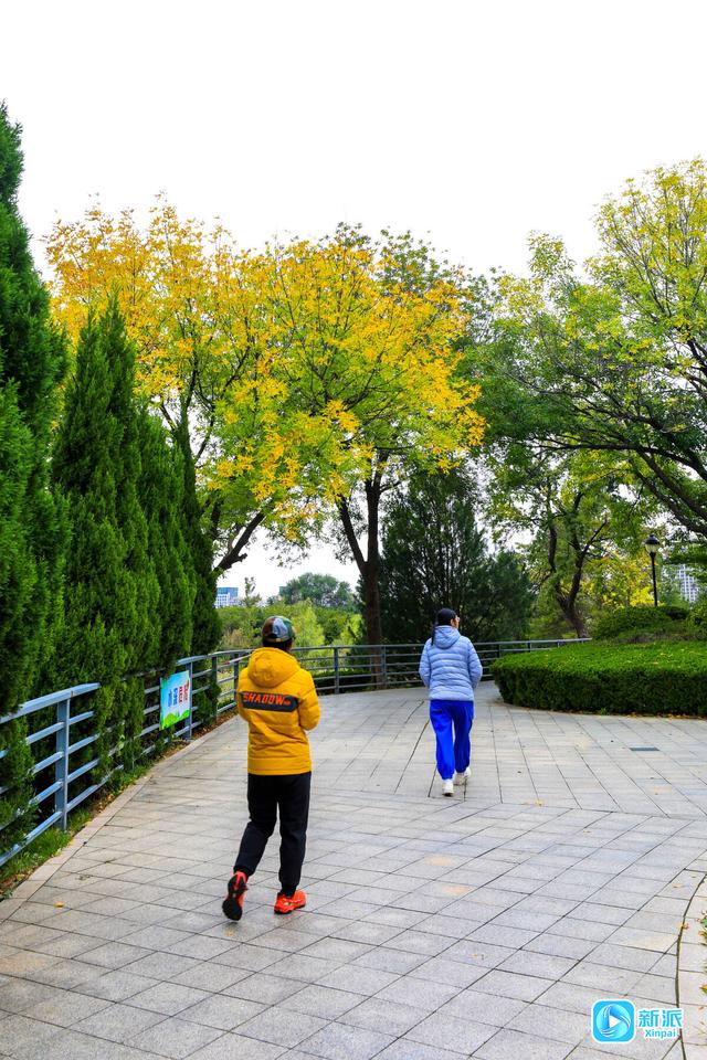 浞景无边，快乐亦无边~