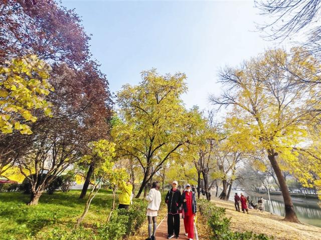 “叶”色正美 导航“津”秋 探寻浪漫滤镜里的街巷园区