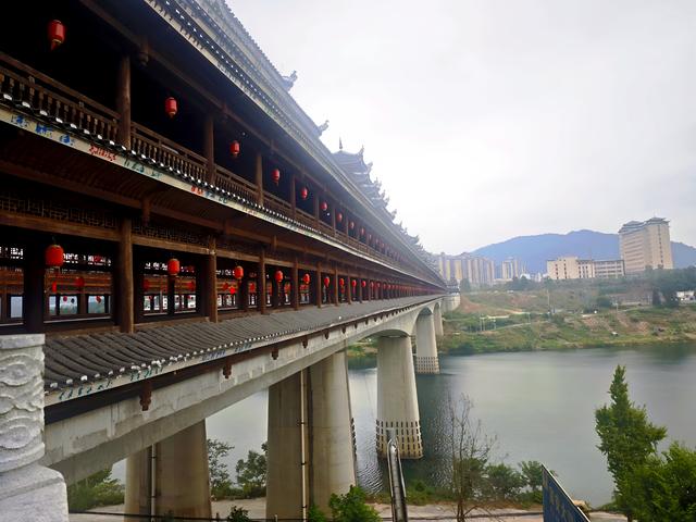 桂北秋色行之柿红