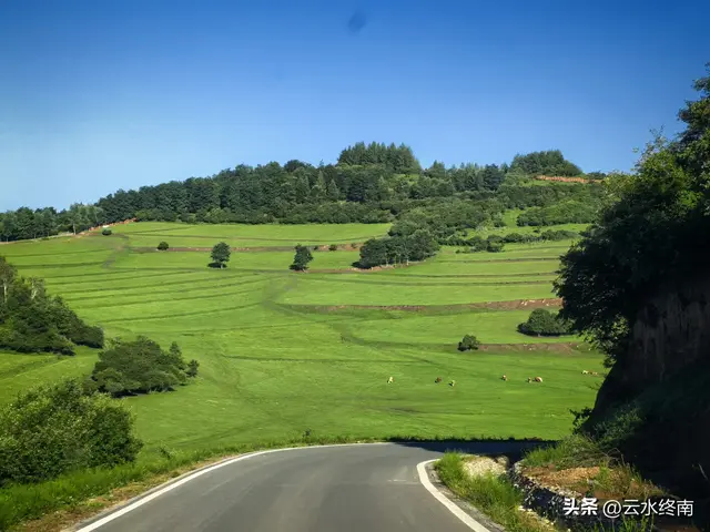 关山牧场会“瑟瑟发抖”？我看多虑了，即使旁边有大片免费的草原