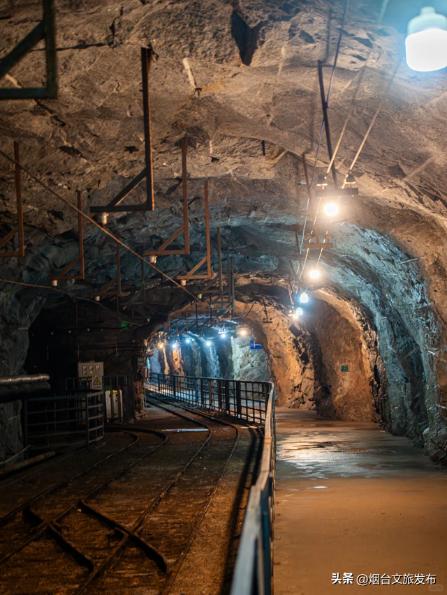 【乐游烟台】含金量100%！烟台这座博物馆全是黄金