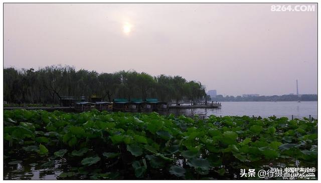 山东行游影记（12）—济南大明湖（一）