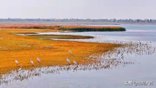 🍂 秋天的七星湖：沙漠与绿洲的秋日私语