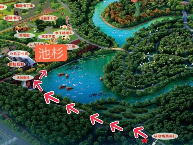 趁天晴出发！洛阳这片杉林红了！无需门票…