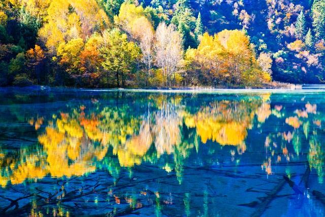 推荐国内11月份适合去的10个地方，去过5个不简单，你去过几个？