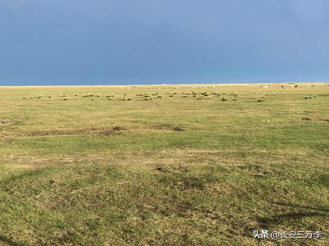 北上大草原第7站：入住贡格尔草原深处