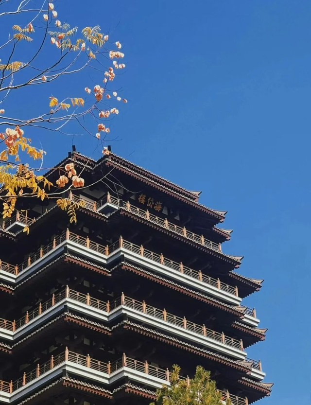 即刻出发，解锁淄博「秋日限定」模式，错过等明年！