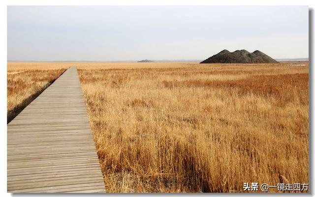 深秋时节，走进长春农安的波罗湖湿地