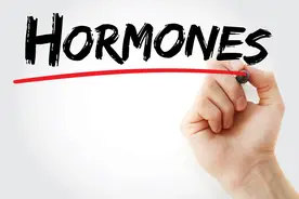 解密鸡肉中的激素，乳腺癌患者能否安心享用？图片