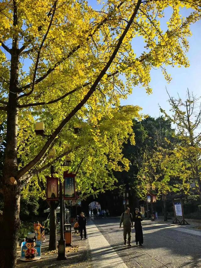 封神级美景！初冬的桂林，宛如打翻的调色盘