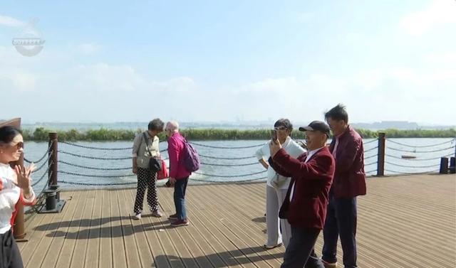 终于开放！24艘“帆船”托起滇池浮桥，体验“水上行”的惬意~