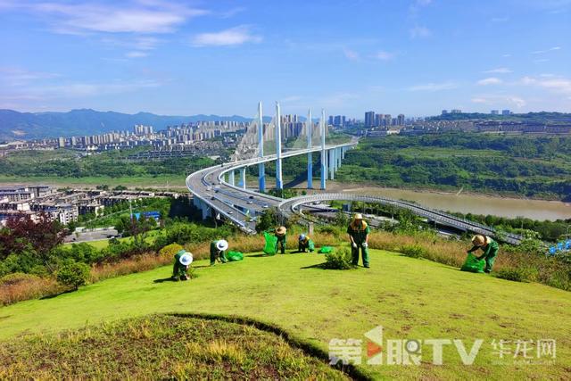 惟实笃行 重庆争先④｜山水之城“绿动能”