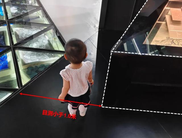 上海“玻璃”博物馆,还是挺能吸引“放暑假的孩子们”!