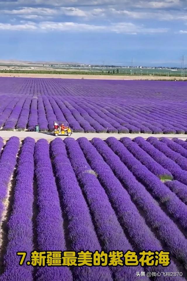 新疆含金量最高的十个景区，你去过几个？
