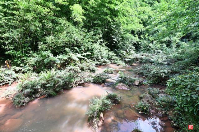 赤水四洞沟瀑布