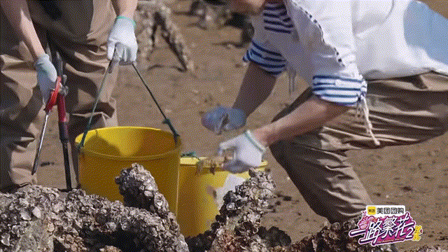 被《一路繁花2》种草的泉州非遗之旅，攻略来了！