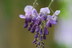 该不该让小三身败名裂？她总是这样挑衅我图片