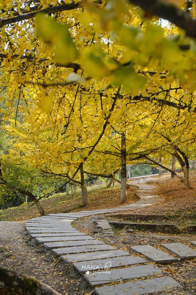 漫游韶关，赴一场山水间的秋日之约