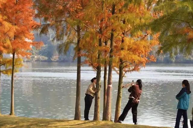 在金堂舒适过冬！就这么安排……