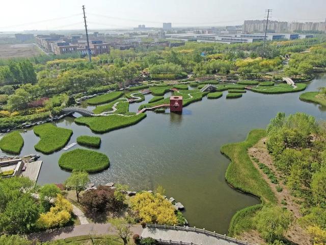 “艺”整个假期 天津港保税区文旅盛宴圆满收官