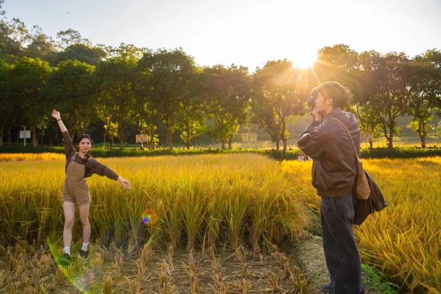 就现在，一起去南山公园遛弯~