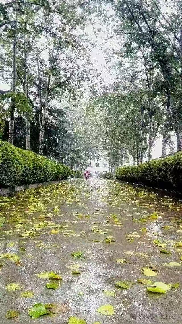 天漏了 自知否