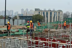 人勤春早 开局冲刺丨怡心湖A区生态恢复工程加快推进 预计年底建成开放图片