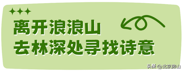 我想离开浪浪山，去房山看看！
