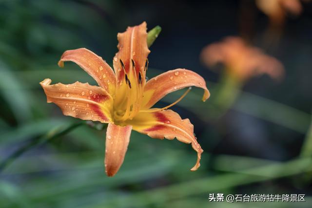 探秘牯牛降